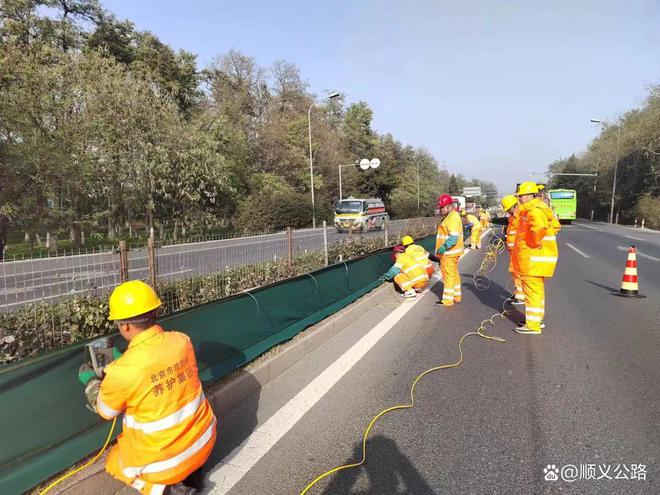 多米体育顺义主次干道绿化将大变样！涉及多条道路……(图1)