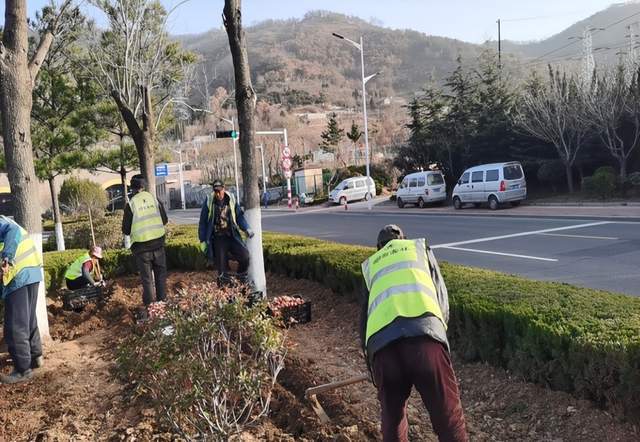 多米体育感知山东 烟台市园林建设养护中心全面做好冬季绿化养护工作(图3)