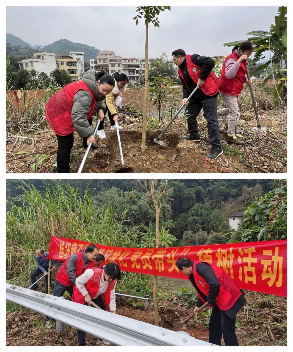 多米体育郁南县人民政府门户网站(图1)