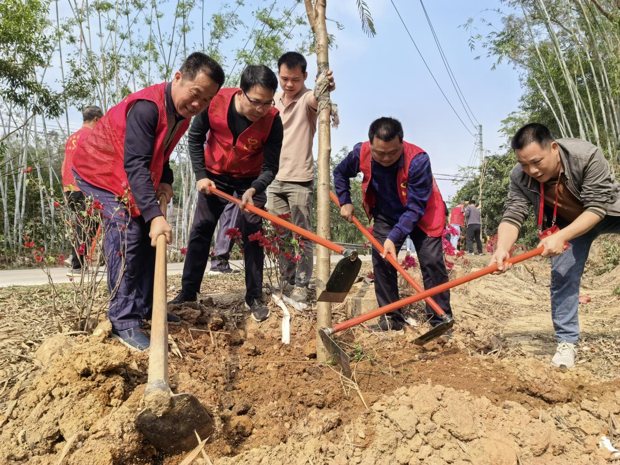 广东一县多米体育城坚持义务植树十年背后藏着什么“法宝”？(图4)