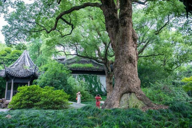 多米体育中国最美的六大古典园林北京有一座参照无锡而建你去过几个？(图3)