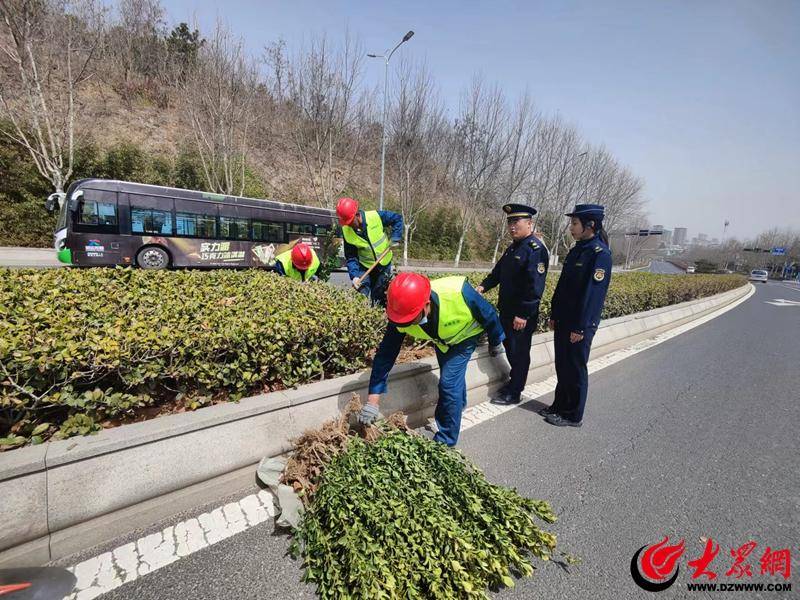 多米体育青岛市城市管理局启动“春季护绿”专项执法行动 发布城市绿化温馨提示(图2)