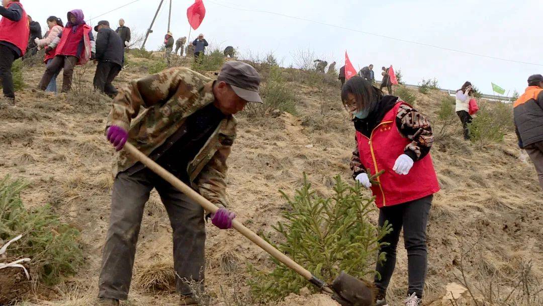 多米体育西巩驿镇：义务植树为大山添新绿(图3)