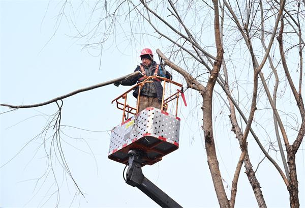 多米体育“绿美延吉”行动今年再添新亮点(图1)