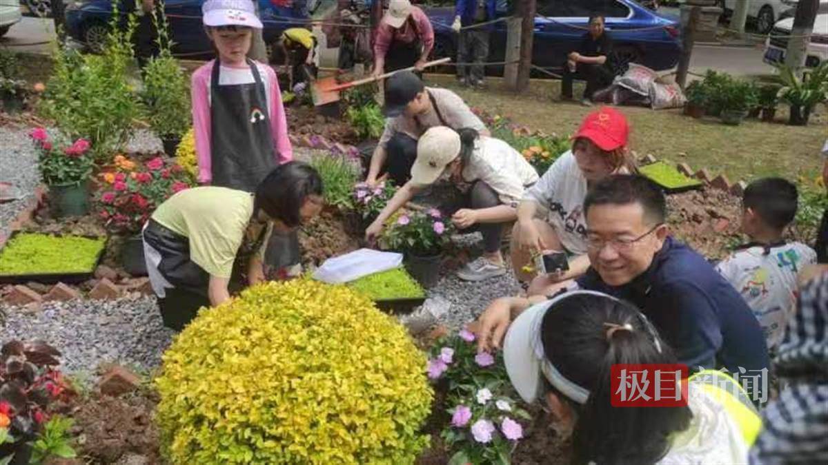 1人指导多米体育2组家庭！武汉园林技师携手居民扮靓“共享花园”(图1)