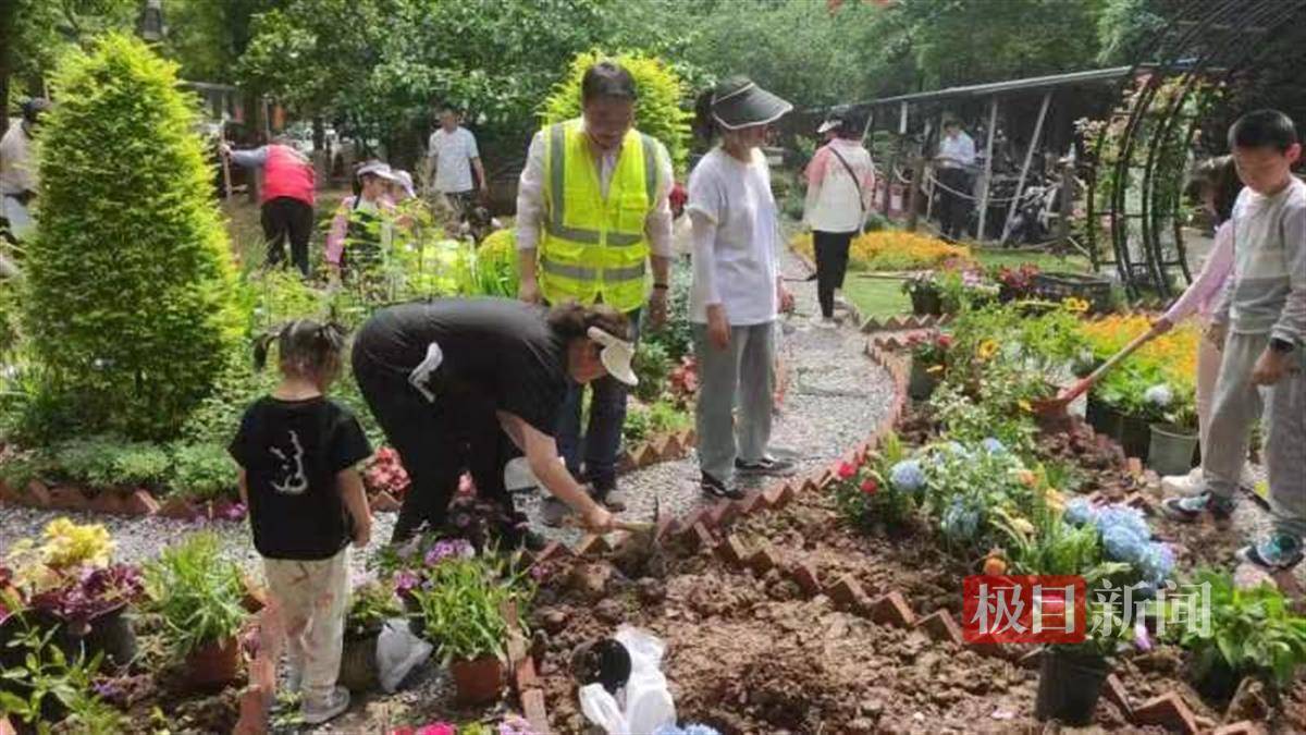 1人指导多米体育2组家庭！武汉园林技师携手居民扮靓“共享花园”(图3)